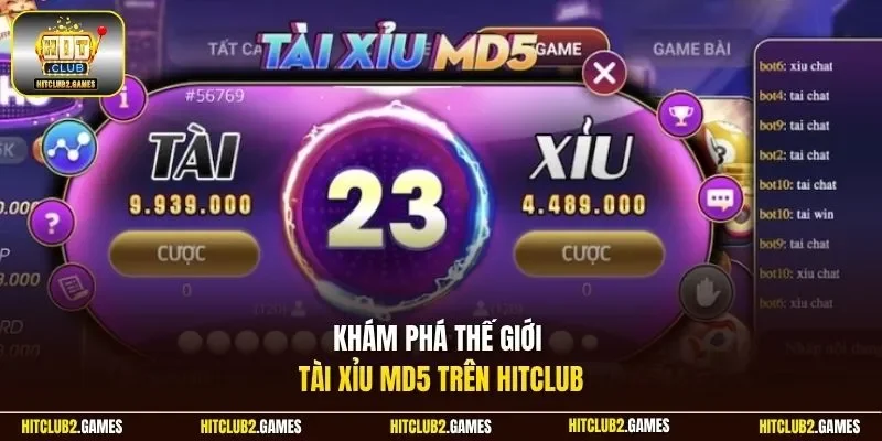 Khám phá thế giới tài xỉu MD5 trên HitClub