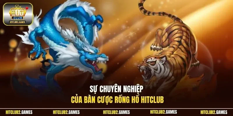 Sự chuyên nghiệp của bàn cược Rồng Hổ HitClub 
